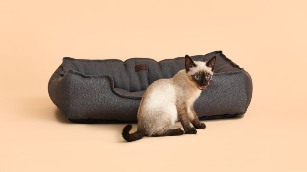 cucce per gatti resistenti e facili da pulire