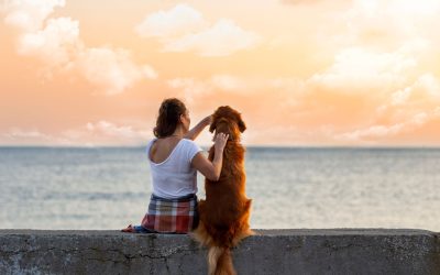 Cane e padrone: una storia d’amore lunga secoli