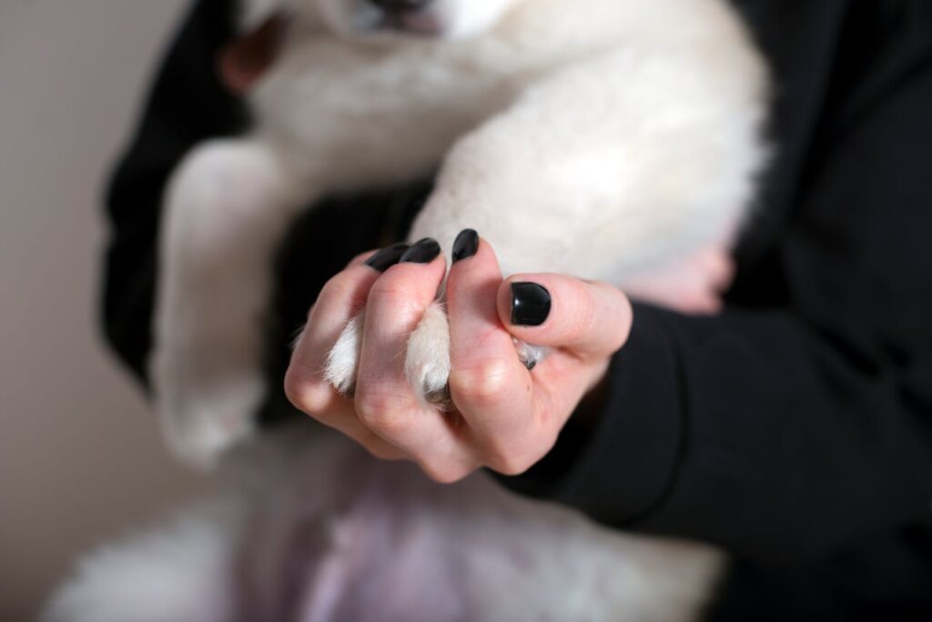 Un gesto d’amore tra donna e cane: attenzione alle unghie dei cani e al benessere animale Mano di una donna intrecciata alla zampa di un cane, con focus sulle unghie dei cani, simbolo di cura e fiducia reciproca