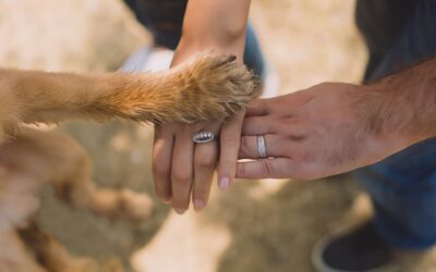 Unghie dei cani: tutto quello che c’è da sapere per curarle al meglio