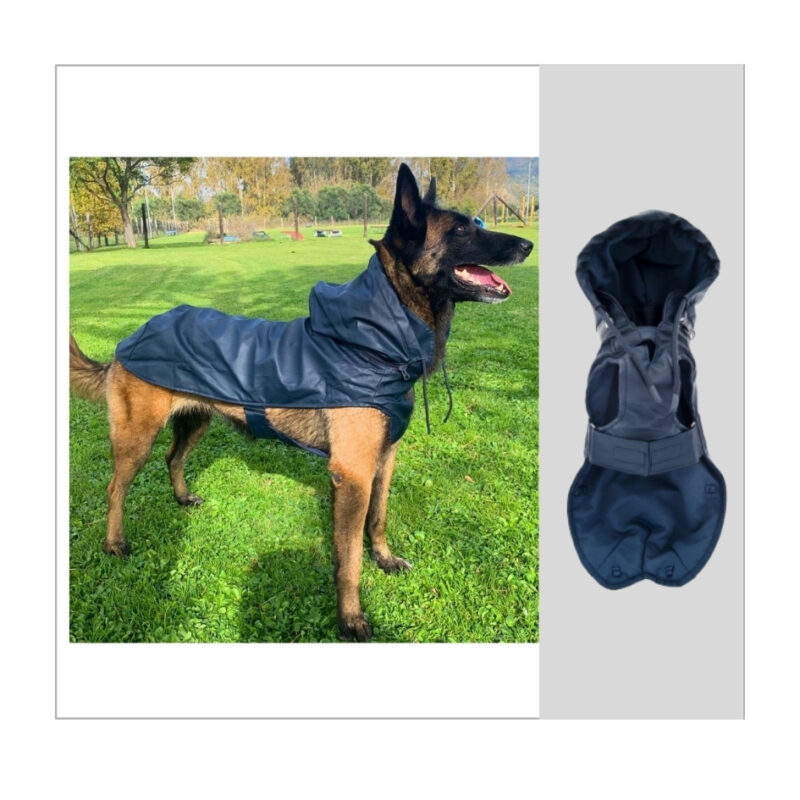Frozen – cappottino Impermeabile blu per cani Ferribiella