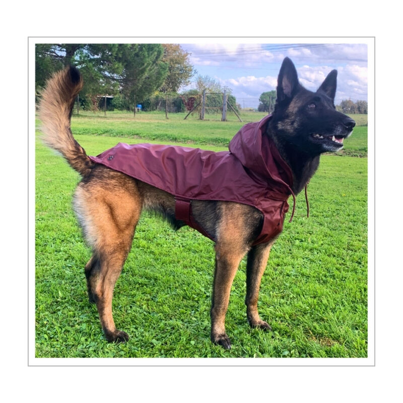 Frozen – cappottino Impermeabile vinaccia per cani Ferribiella