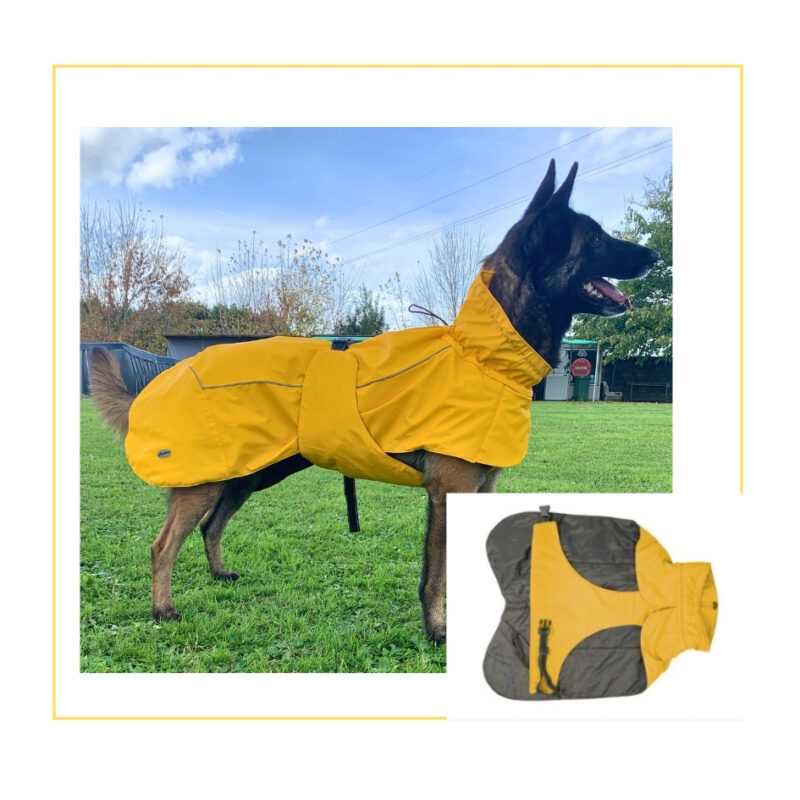 Peak29 – Impermeabile tecnico antivento per cani con imbottitura in cotone