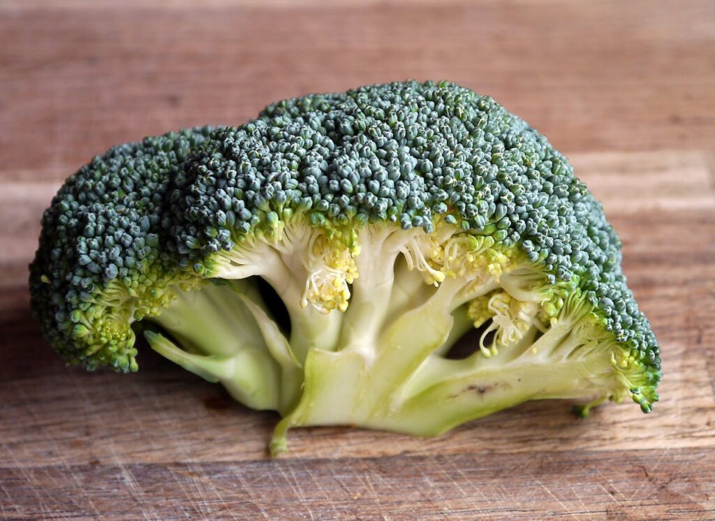 Broccolo crudo intero, una verdura che i cani dovrebbero consumare con moderazione.