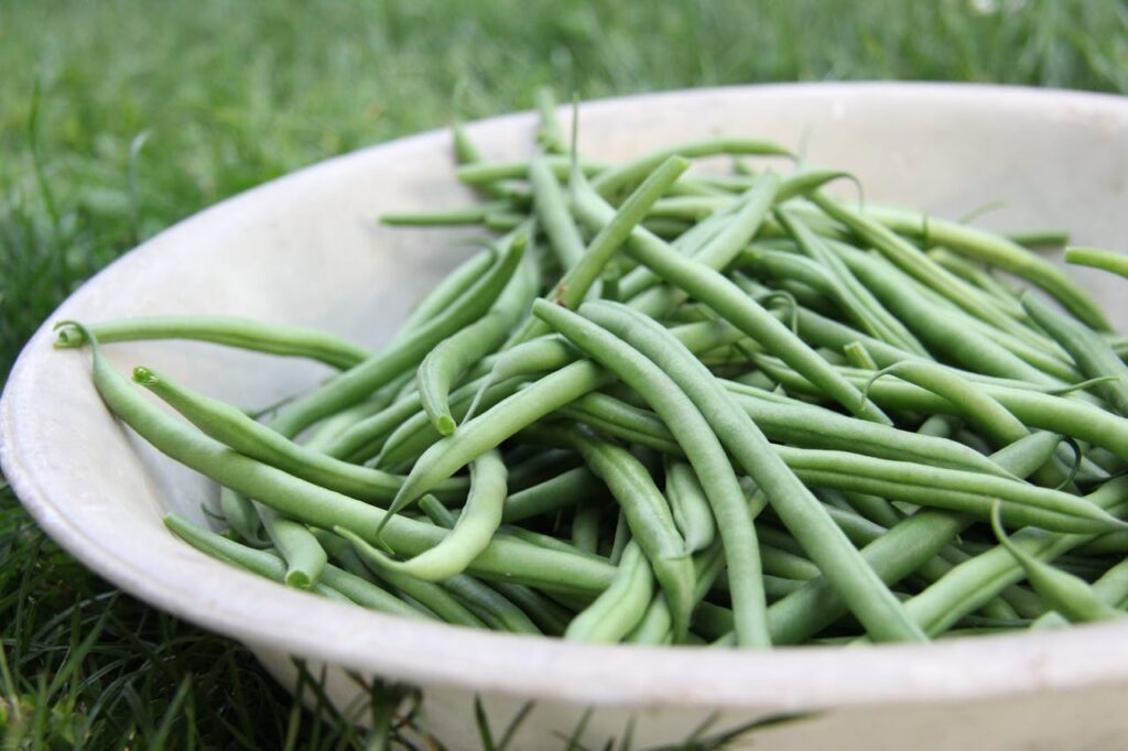 Piatto con fagiolini crudi freschi, una verdura leggera e adatta ai cani se preparata correttamente.