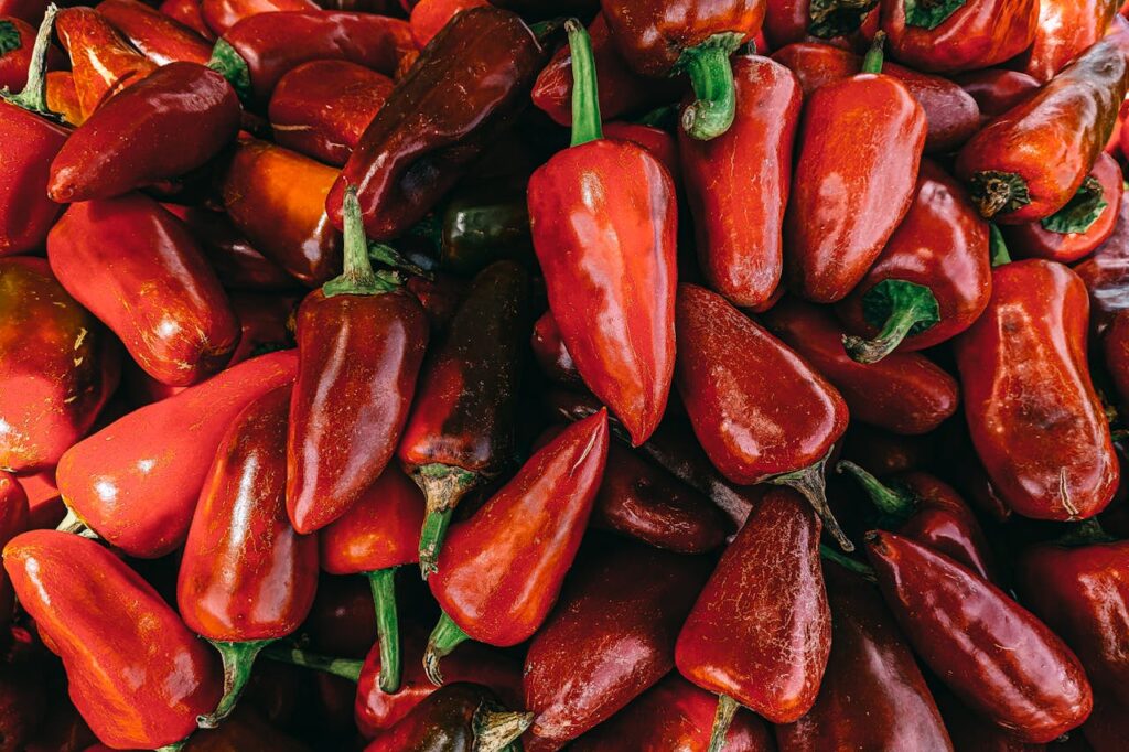 Peperoncini rossi freschi, rappresentazione dei cibi piccanti da evitare nell’alimentazione dei cani.