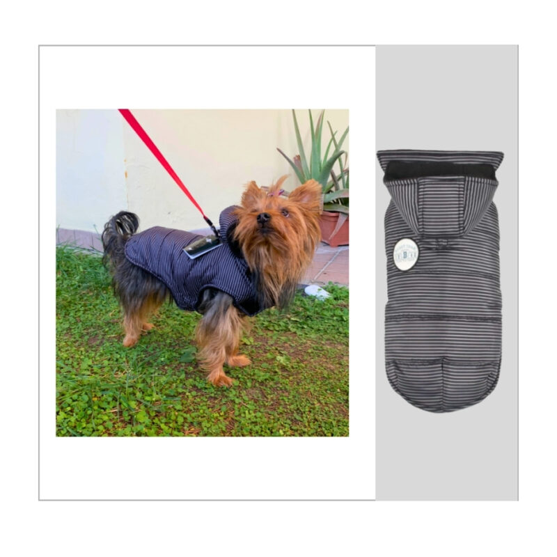 RAYE – Cappottino impermeabile per cani