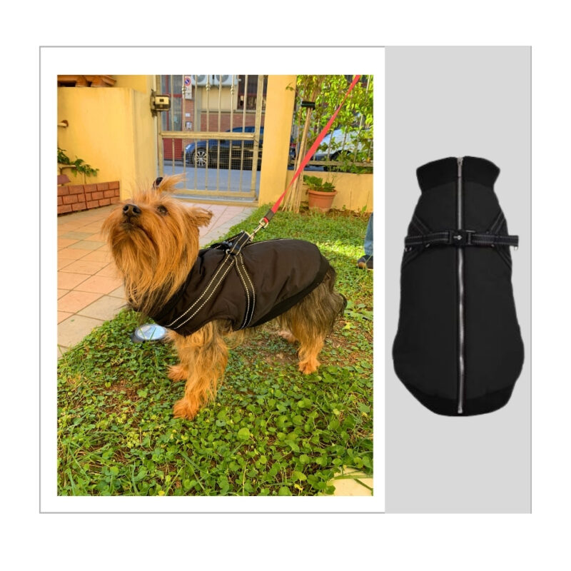 Easy – Cappottino per cani Bobby nero