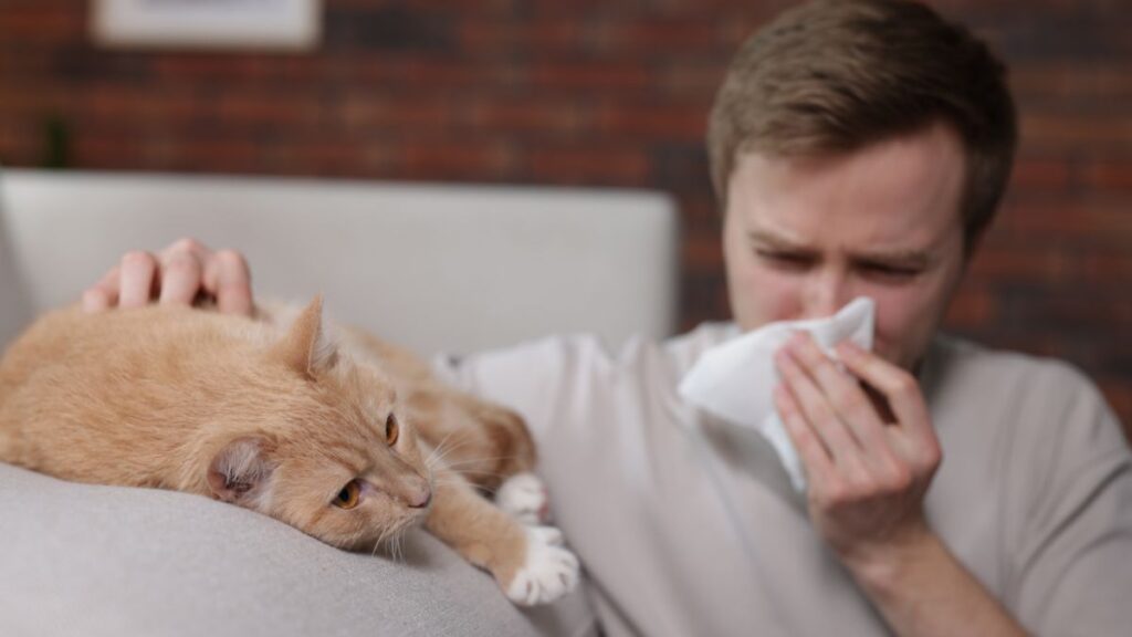 Persona che si soffia il naso accanto a un gatto rosso sul divano, sintomi del raffreddore del gatto come starnuti e naso che cola