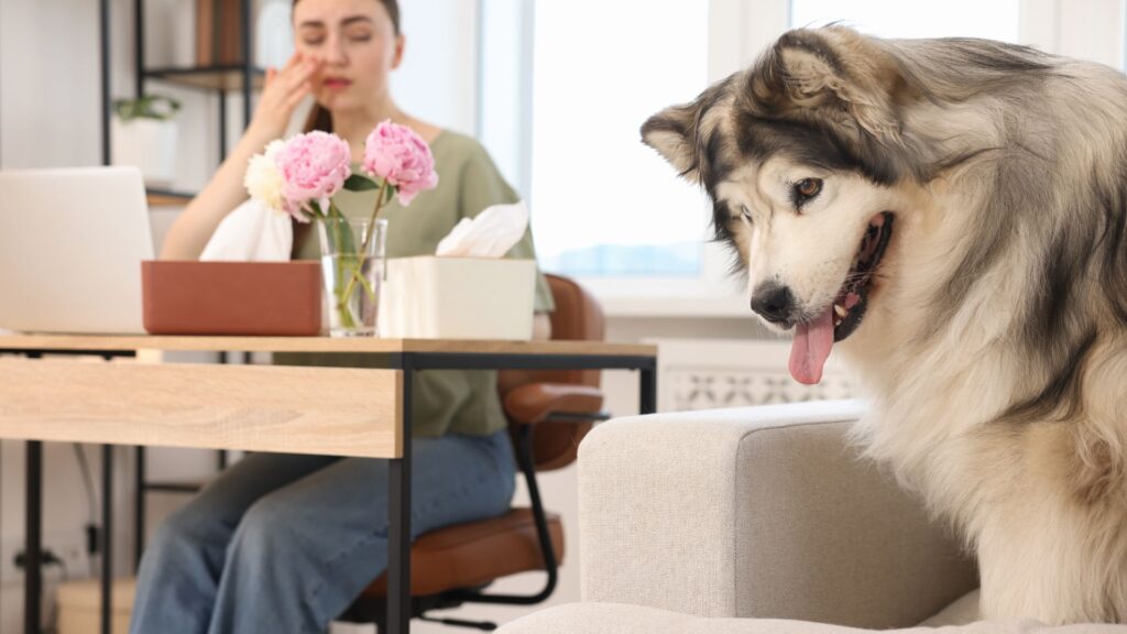 Psicologia del cane: ansia da separazione, ragazza in difficoltà emotiva e cane sul divano, segnali di stress e bisogno di sicurezza