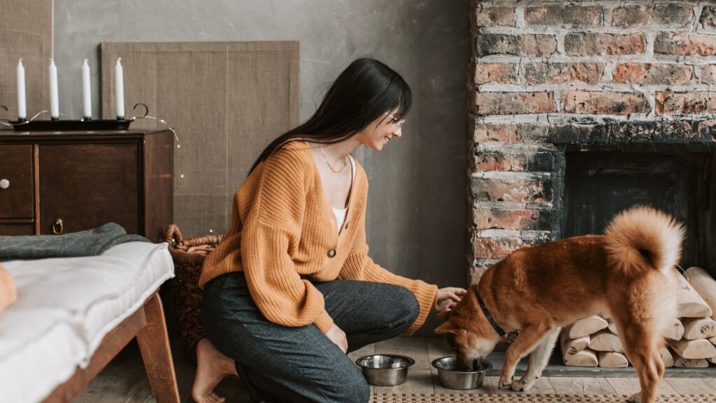 Psicologia del cane: ragazza che accarezza il cane mentre mangia, gestione delle risorse e segnali di disagio
