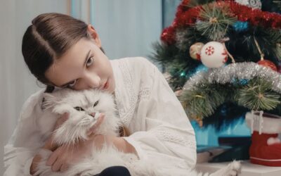 Quando il gatto ti vuole bene: 7 segnali per capirlo