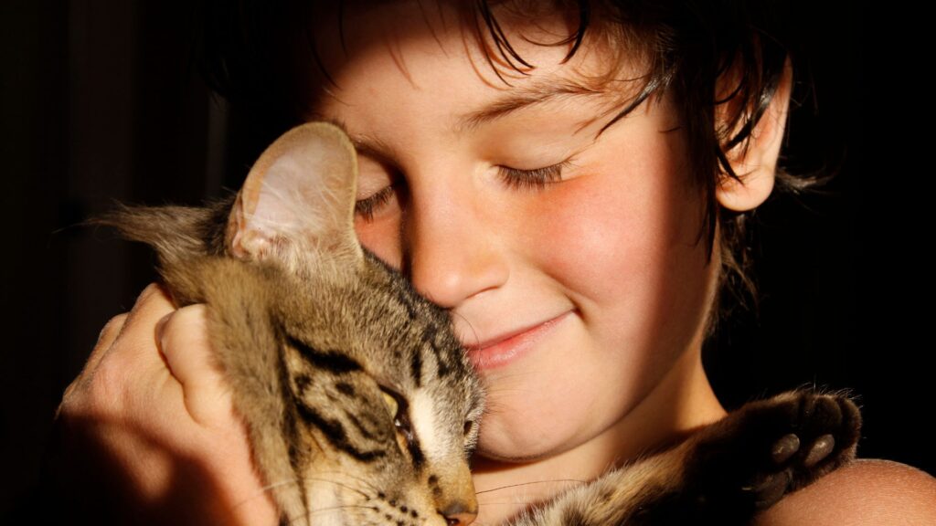 Primo piano di un bambino che stringe a sé un gatto in un momento di affetto e vicinanza