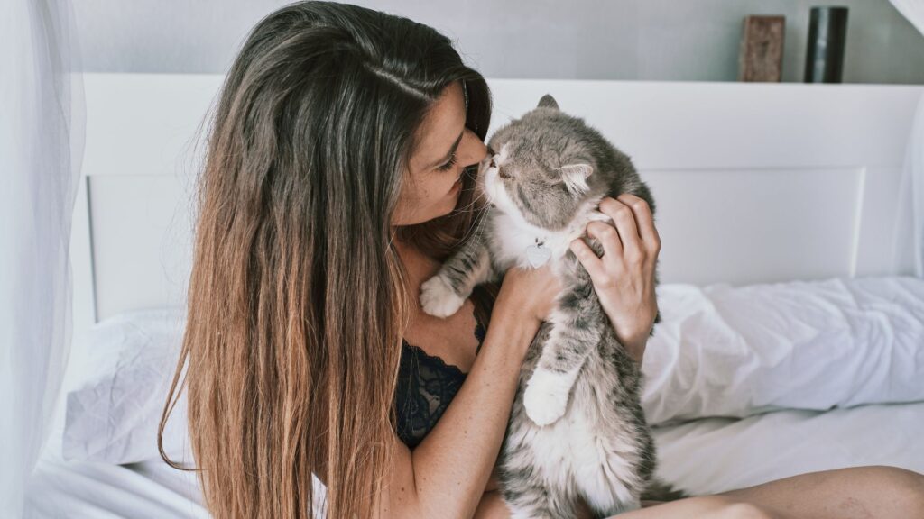 Ragazza che tiene in braccio un gatto e lo coccola naso contro naso in un momento di grande confidenza