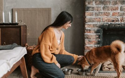 Come scegliere le crocchette per cani: qualità, dosi e criteri di scelta in base a età e peso